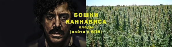 дмт Осинники