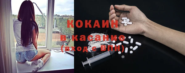 ECSTASY Ветлуга
