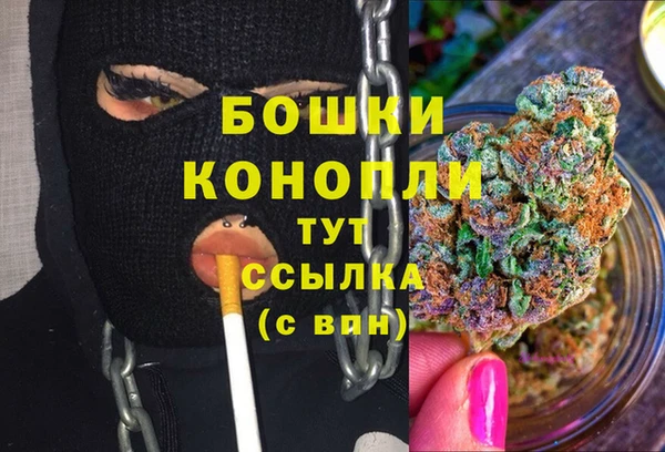 дмт Осинники