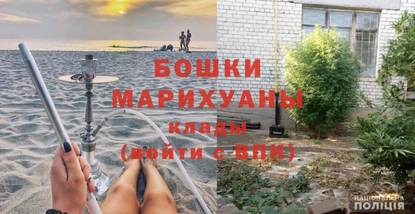 дмт Осинники