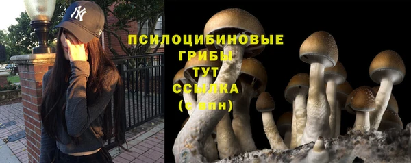 дмт Осинники