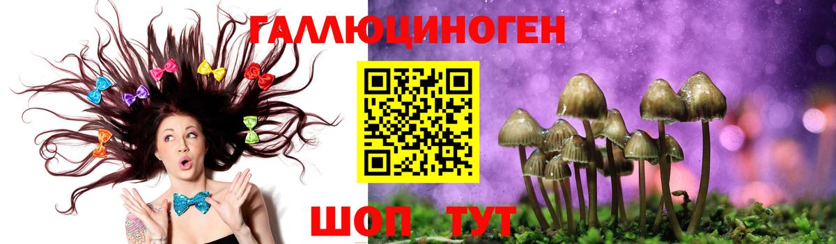 Галлюциногенные грибы MAGIC MUSHROOMS  Псилоцибиновые грибы мухоморы  Вход с VPN  Белореченск 